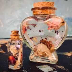 Preserved Oddities Glass Jar Set